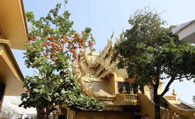 泰国山竹季节,泰国季节分为几季