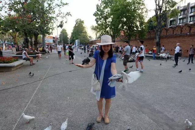 泰国山竹季节,泰国季节分为几季