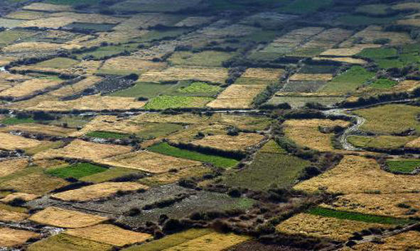 珍爱生命从保护自然环境做起