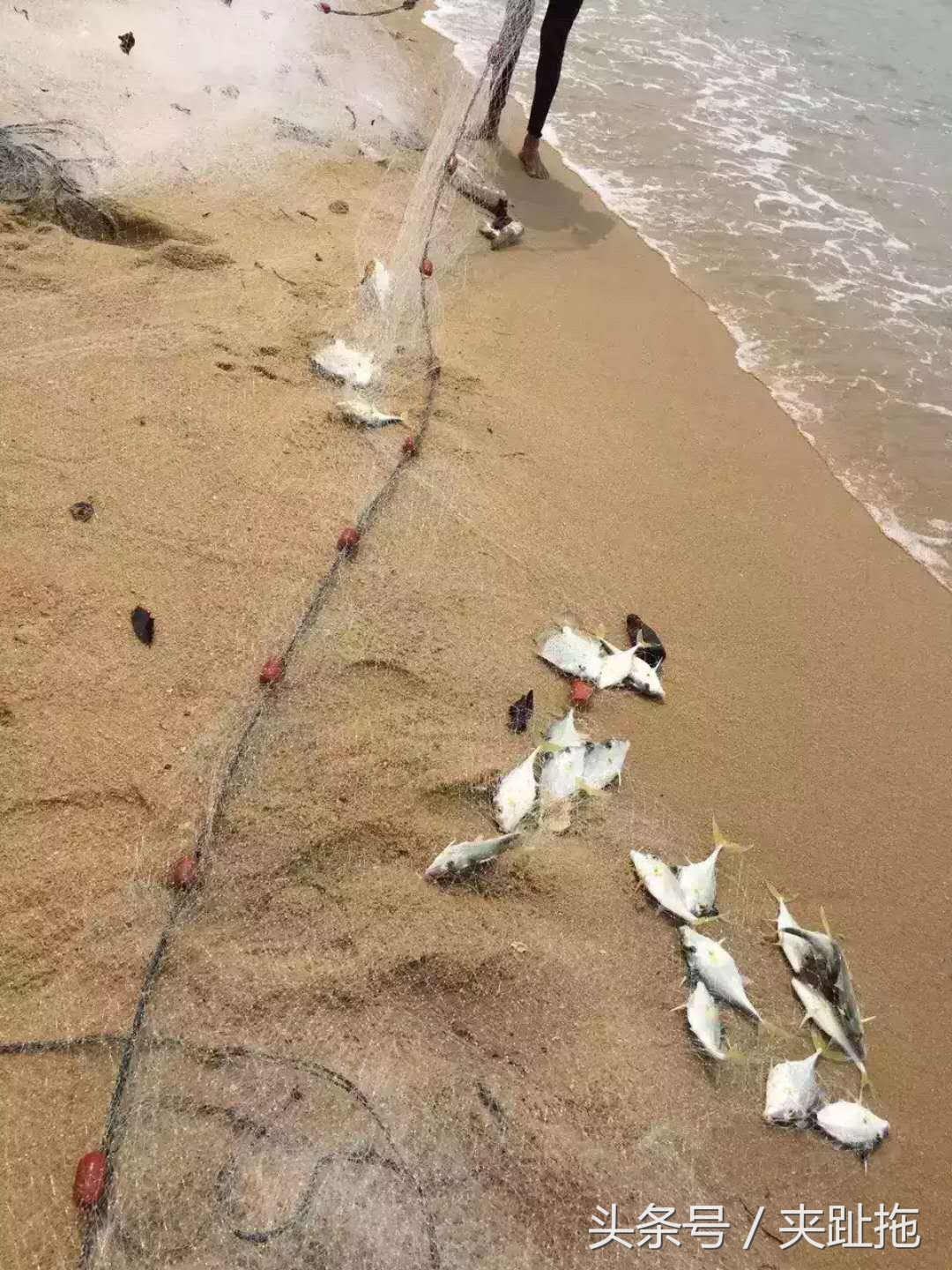 马来西亚魅力所在，告诉你马来西亚海岛如何选择攻略-西马海岛篇