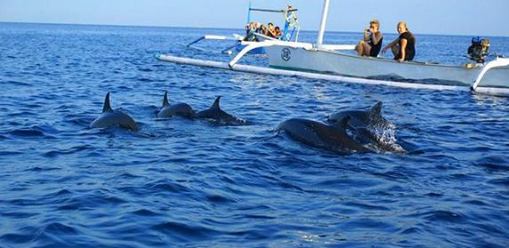 三亚普吉岛巴厘岛鼓浪屿蜜月对比,3500玩转旅拍蜜月圣地巴厘岛