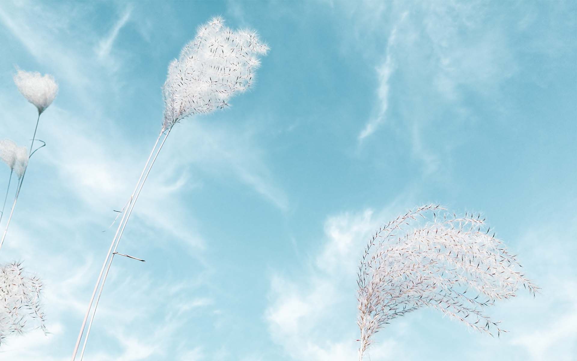 我喜欢的英文歌,你一定会喜欢的翻译