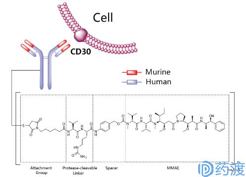 20款抗癌药物,未来十年最好的肿瘤药
