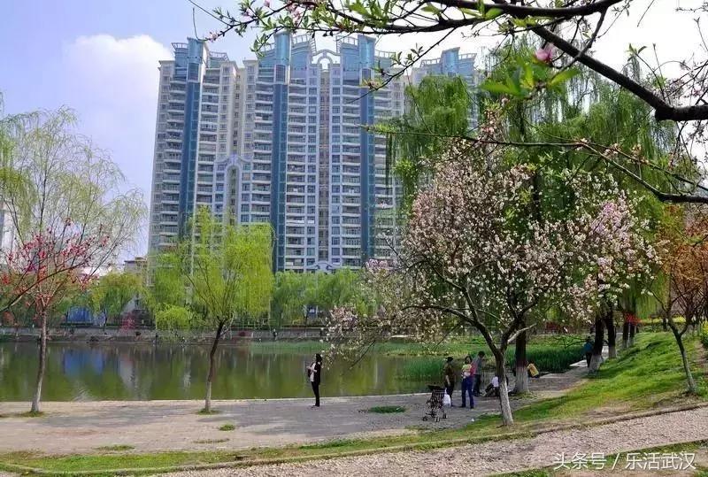 武汉春游两日游攻略大全,武汉春游适合去哪里玩