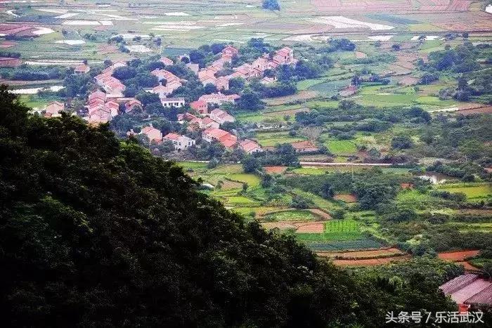 武汉春游两日游攻略大全,武汉春游适合去哪里玩