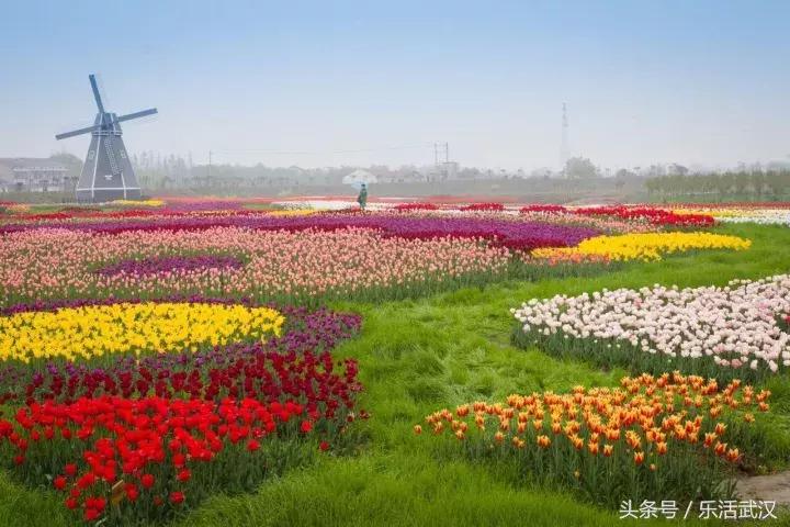 武汉春游两日游攻略大全,武汉春游适合去哪里玩