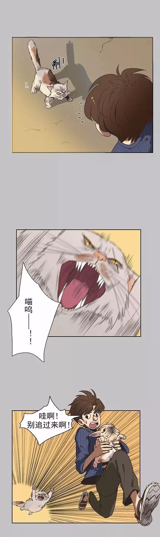 巴哥犬铲屎官漫画,铲屎官的搞笑漫画