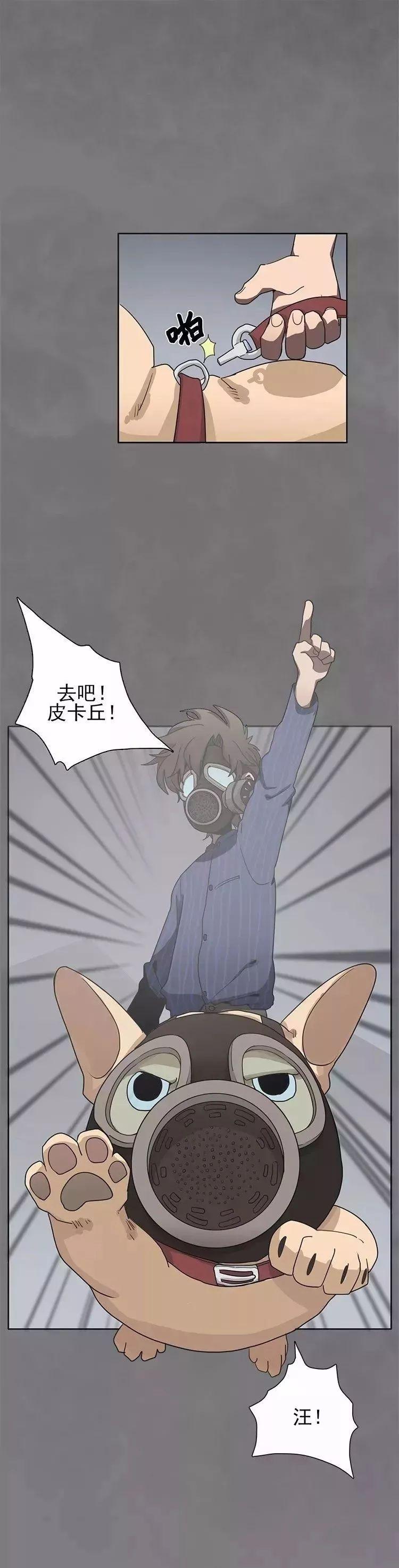 巴哥犬铲屎官漫画,铲屎官的搞笑漫画