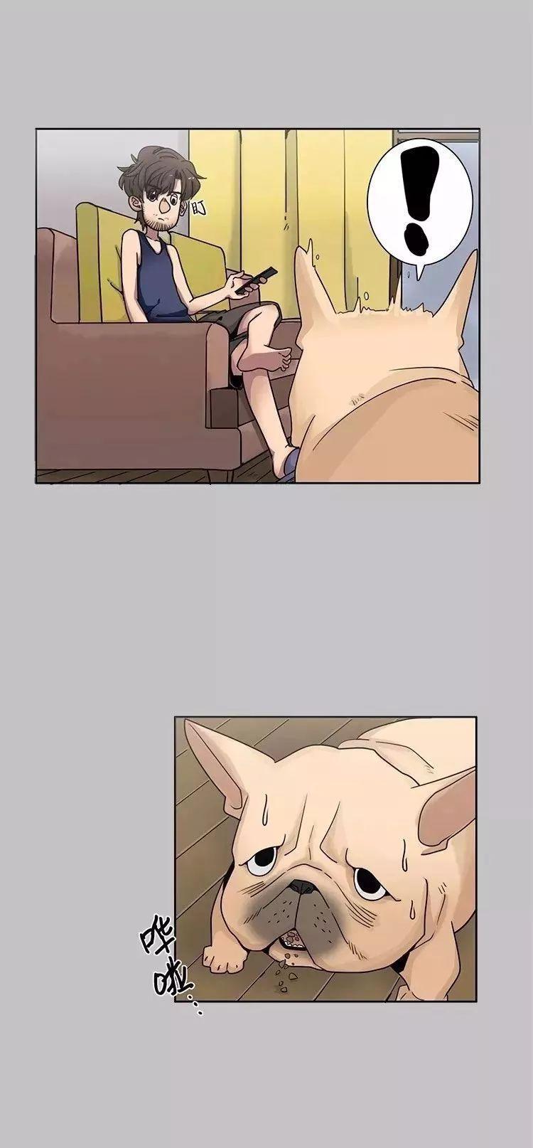 巴哥犬铲屎官漫画,铲屎官的搞笑漫画