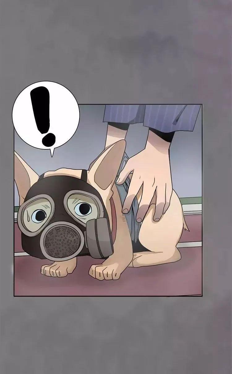 巴哥犬铲屎官漫画,铲屎官的搞笑漫画