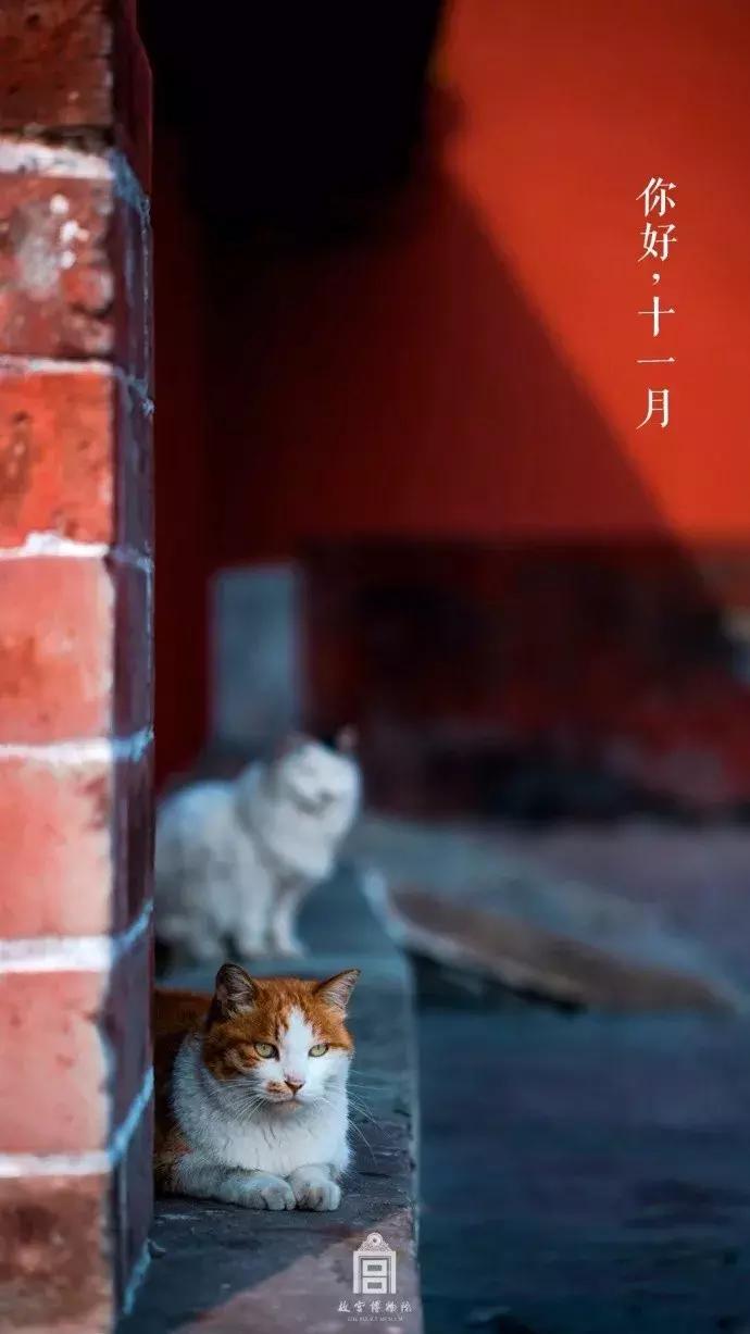 鏁呭18鍙尗,鏁呭鍚哥尗181鍙尗