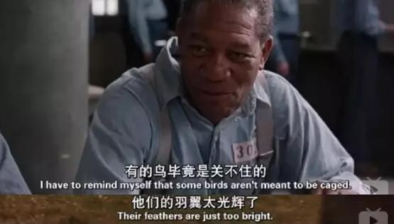 奥斯卡惊艳亮相,奥斯卡耽误了小舞和唐三的爱情