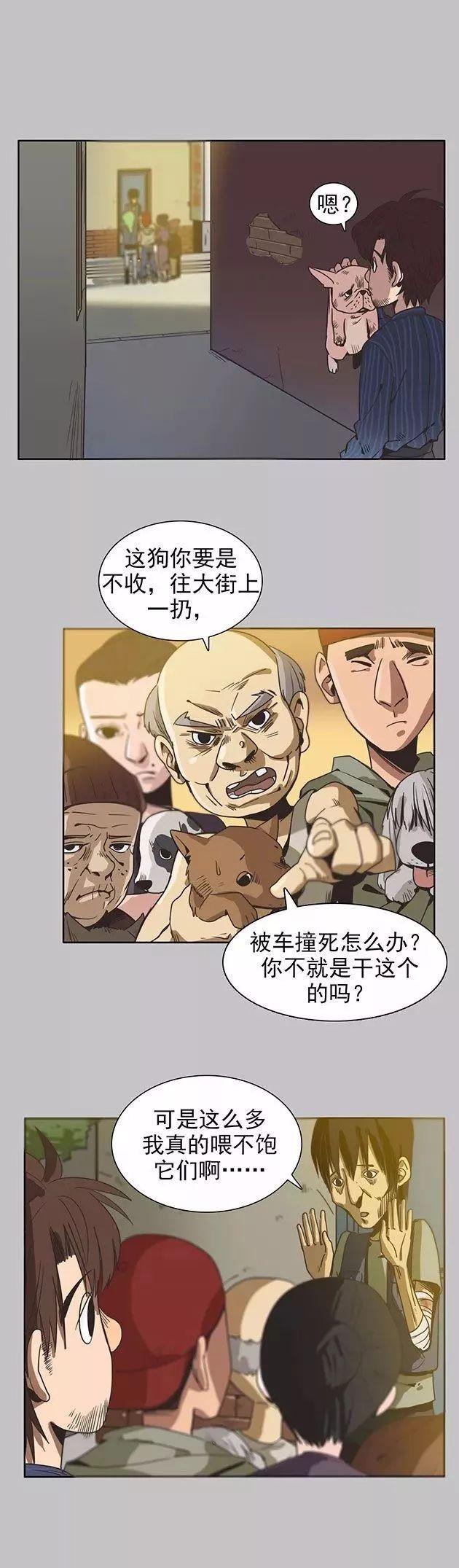巴哥犬铲屎官漫画,铲屎官的搞笑漫画