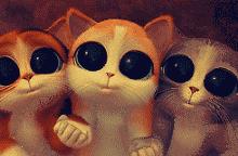 NARS｜好货嘛，就是要污一点才可爱