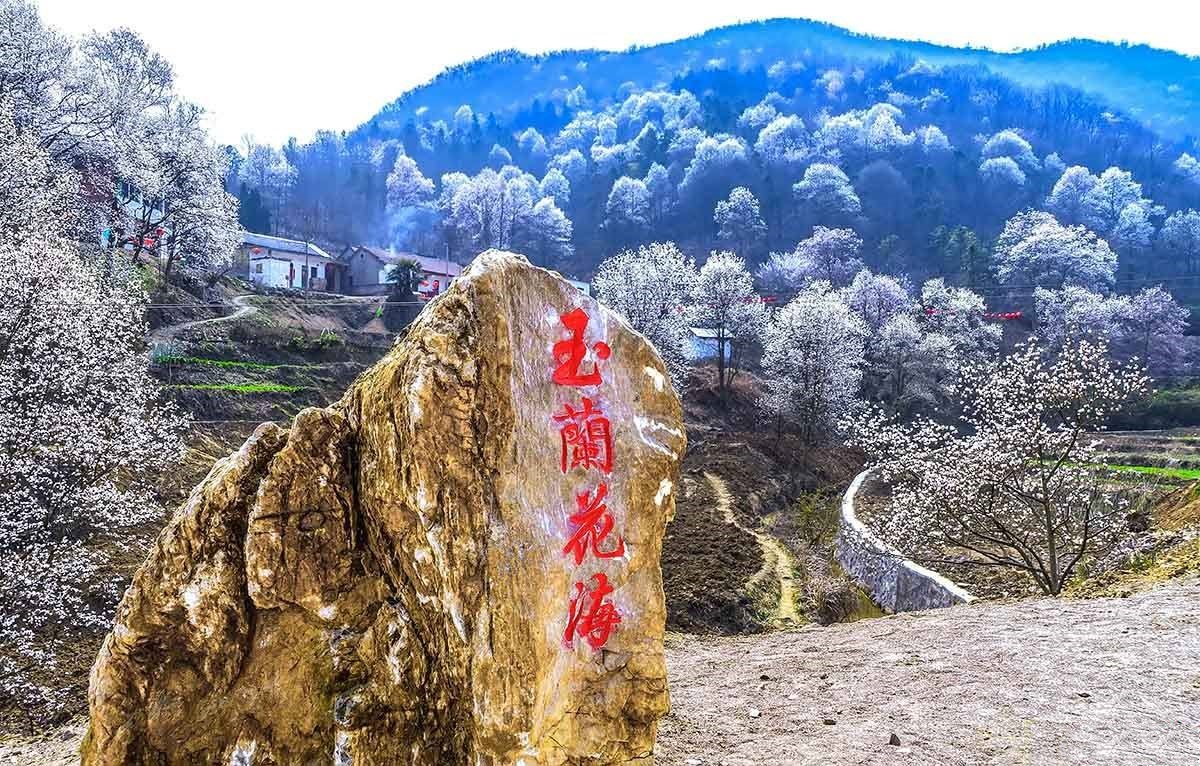 春花烂漫美景开怀,春花烂漫惹人醉满城尽带百花香