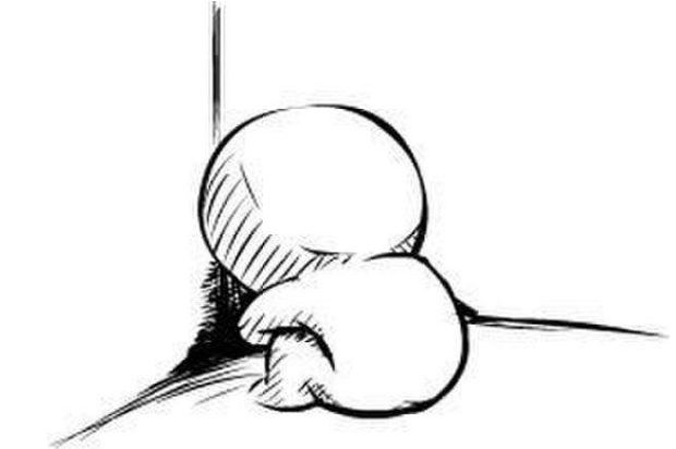 格列卫是怎么研究出来的,格列卫重要吗