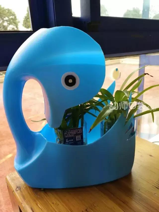 幼儿园春天植物角摆台,幼儿园植物角创意布置图片大全集