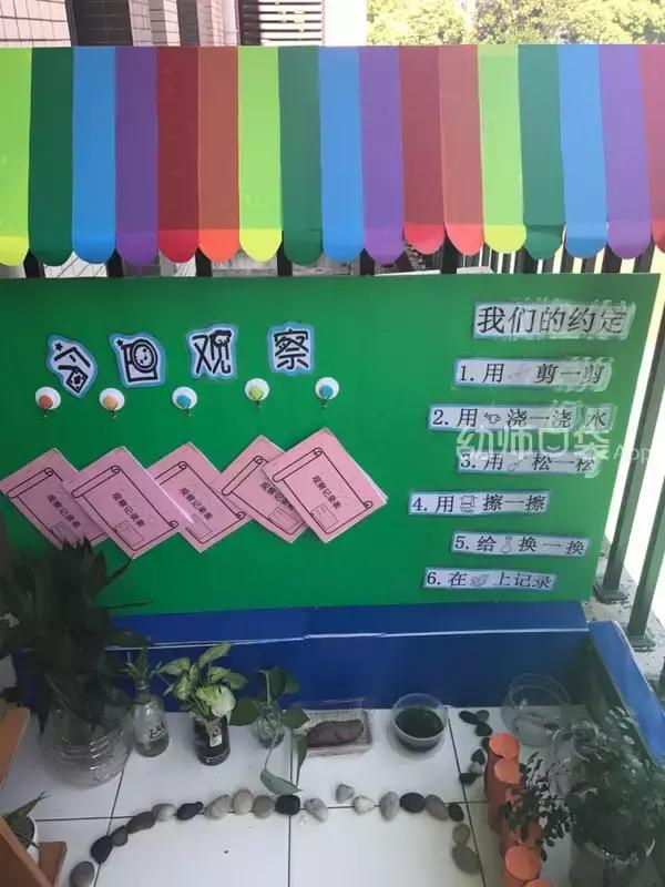 幼儿园春天植物角摆台,幼儿园植物角创意布置图片大全集