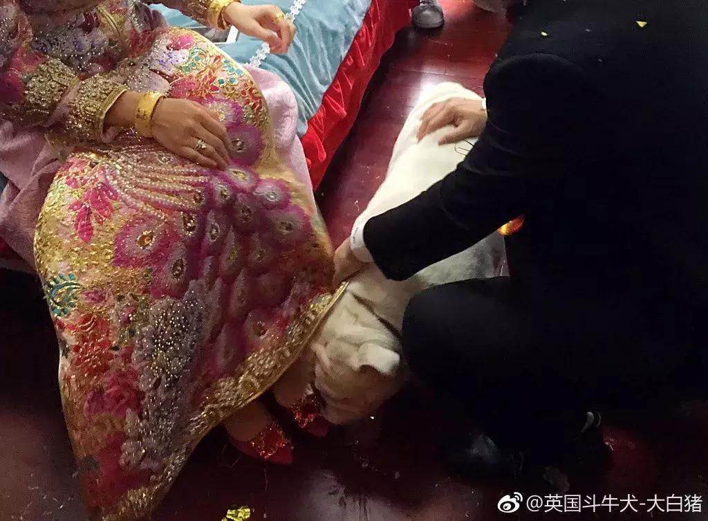 接亲游戏到底哪些最好玩,没有道具的接亲游戏