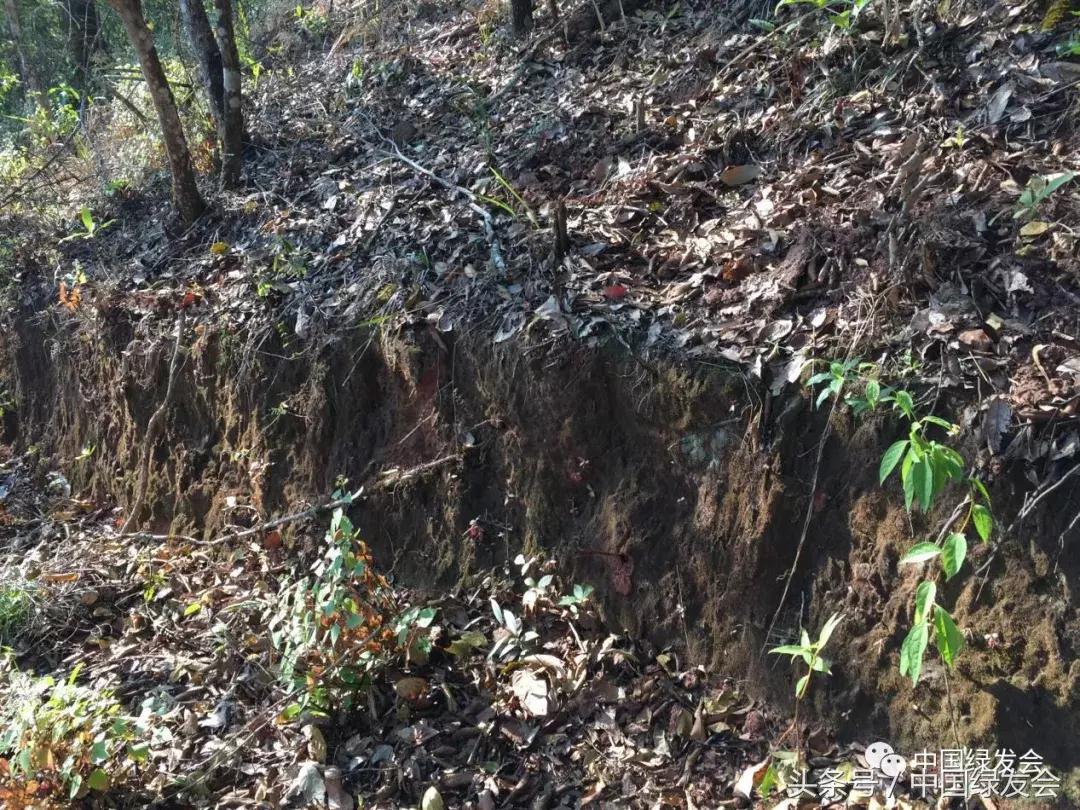 绿会中华保护地,绿会保护地