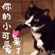 包包推荐小众高级感且价格不高,推荐以为很贵其实很便宜的包包