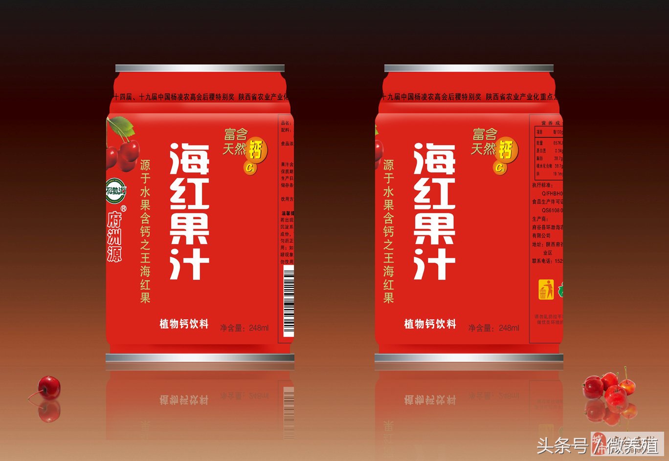 2108年农民创业致富项目推荐-海红果种植,是科学,不是*局骗**