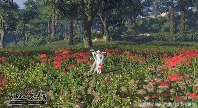 春暖花开赏花时五彩缤纷,春暖花开时繁花向阳开