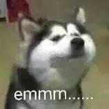 范冰冰蕾哈娜,蕾哈娜品牌fentybeauty范冰冰