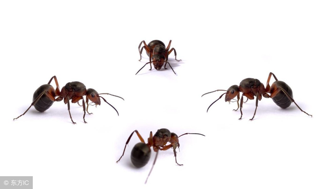 蚌埠人的“好面子”