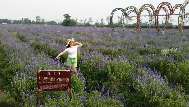郫都区周末休闲好去处,郫都区唐昌镇有什么好玩的和美食