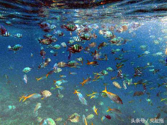 马来西亚魅力所在，告诉你马来西亚海岛如何选择攻略-西马海岛篇