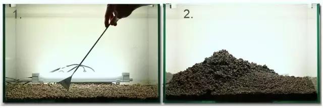 垂泪莫斯和三角莫斯火焰莫斯,莫斯水草球做法