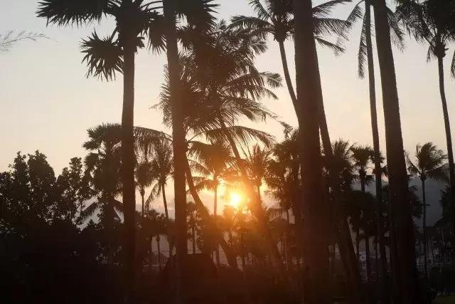 泰国山竹季节,泰国季节分为几季