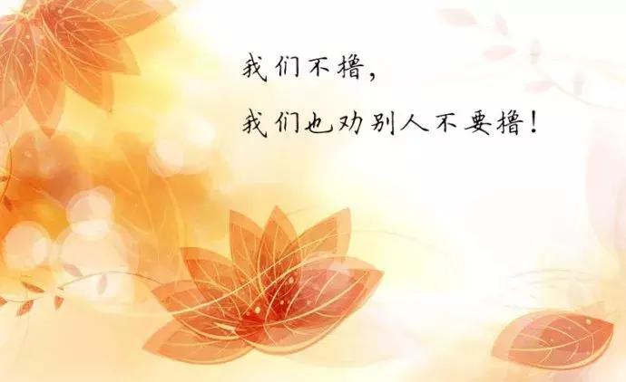 戒色心得：关于长期戒色后“突然失败”的研究……