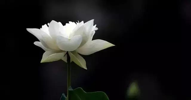 戒色心得：关于长期戒色后“突然失败”的研究……