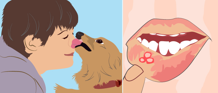 当狗舔你的嘴时会发生什么,狗喜欢舔你的嘴是因为什么