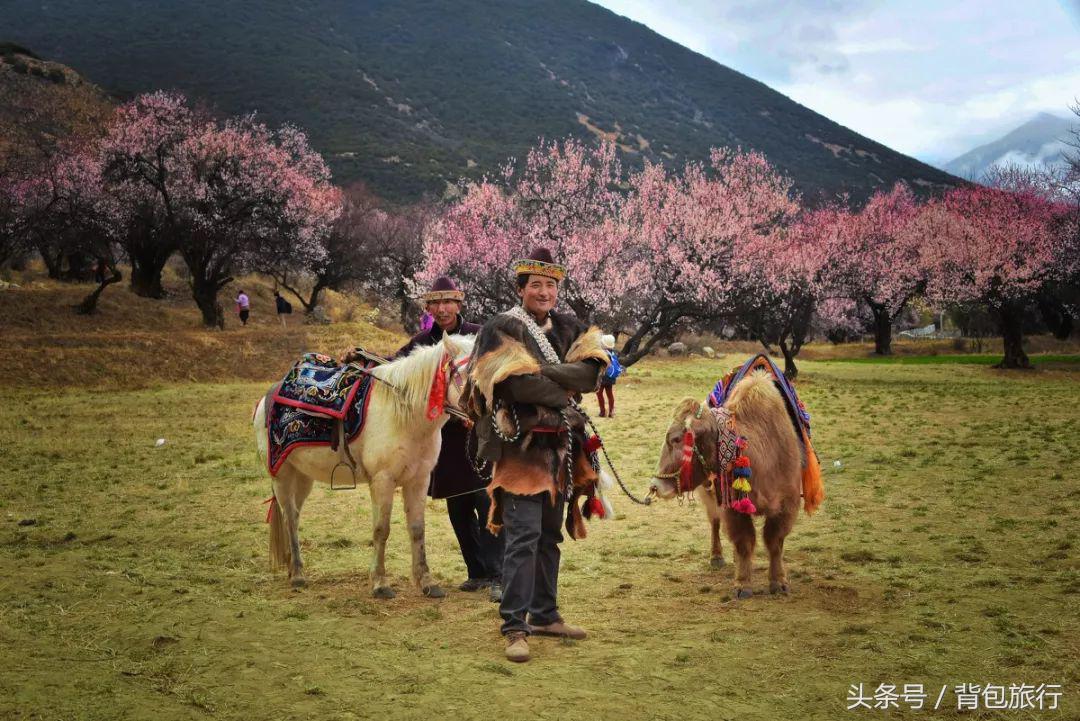 最适合和闺蜜一起去的国家,适合闺蜜去旅行的地方推荐