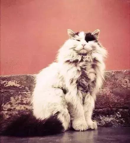 鏁呭18鍙尗,鏁呭鍚哥尗181鍙尗