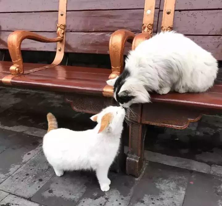 鏁呭18鍙尗,鏁呭鍚哥尗181鍙尗