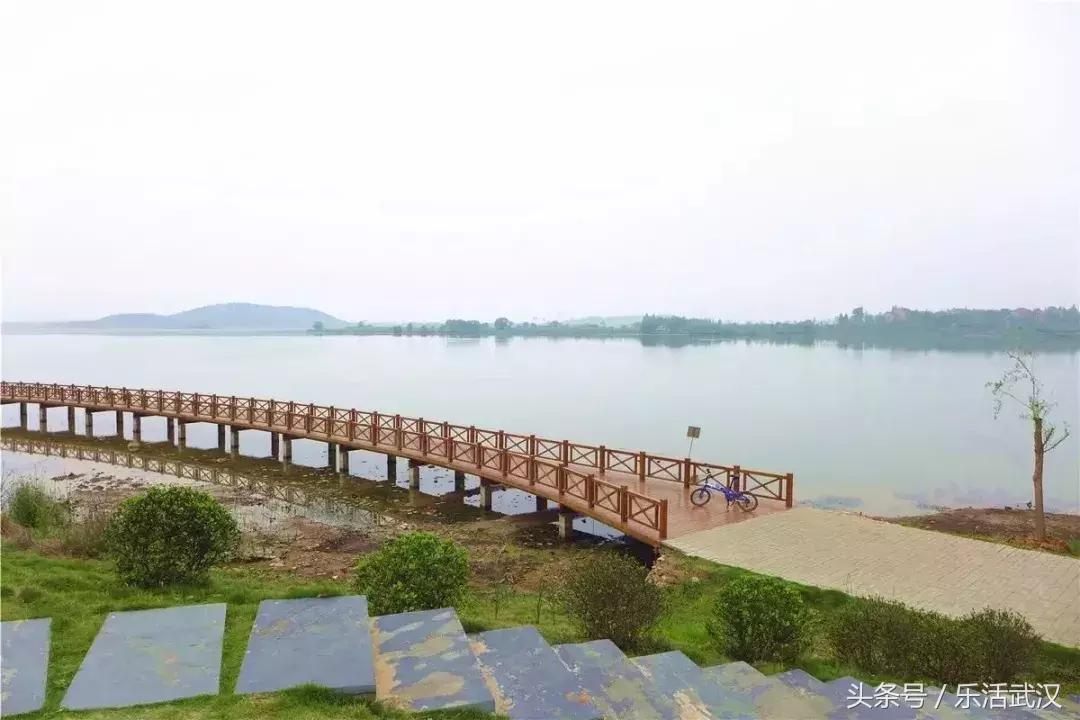 武汉春游两日游攻略大全,武汉春游适合去哪里玩