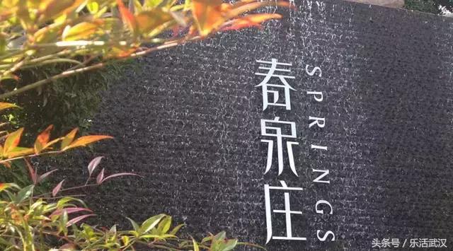武汉春游两日游攻略大全,武汉春游适合去哪里玩