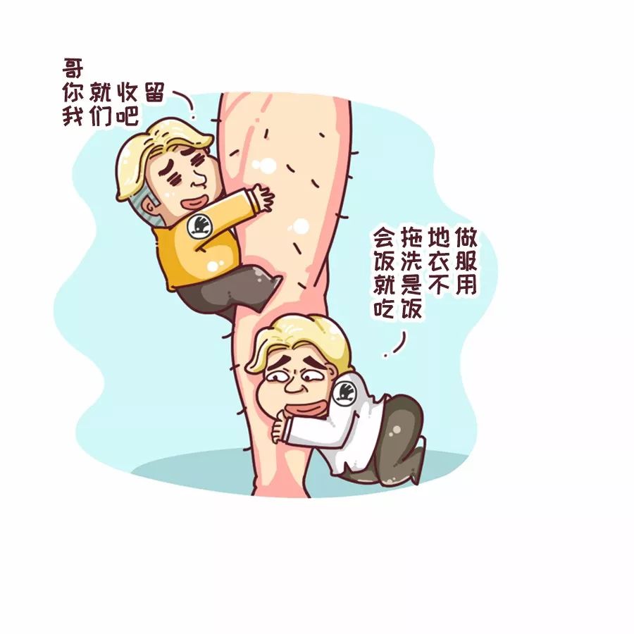 斯柯达雪佛兰哪个品牌好,斯柯达和现代哪个品牌好