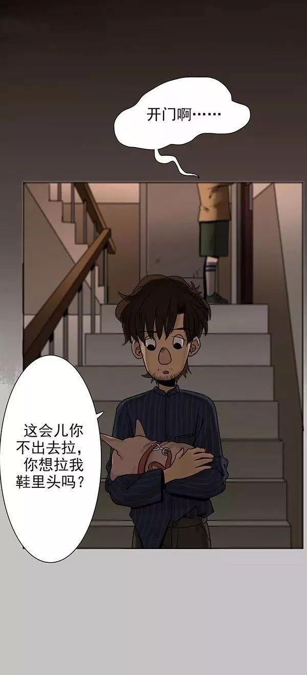 巴哥犬铲屎官漫画,铲屎官的搞笑漫画