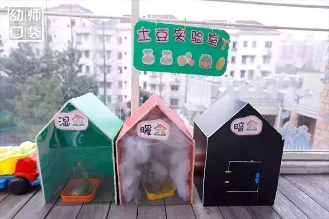 幼儿园春天植物角摆台,幼儿园植物角创意布置图片大全集