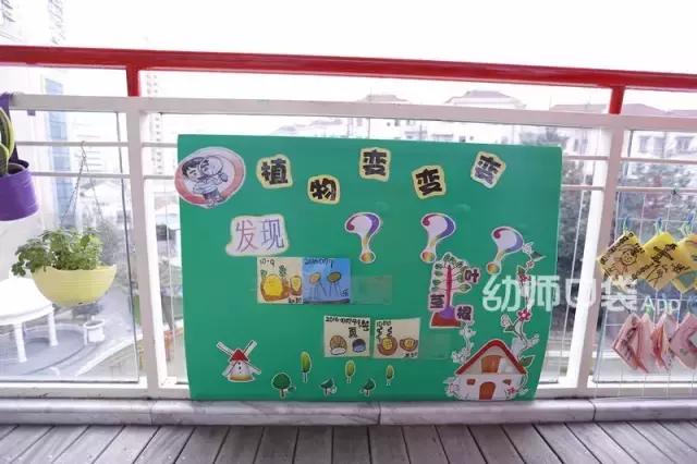 幼儿园春天植物角摆台,幼儿园植物角创意布置图片大全集