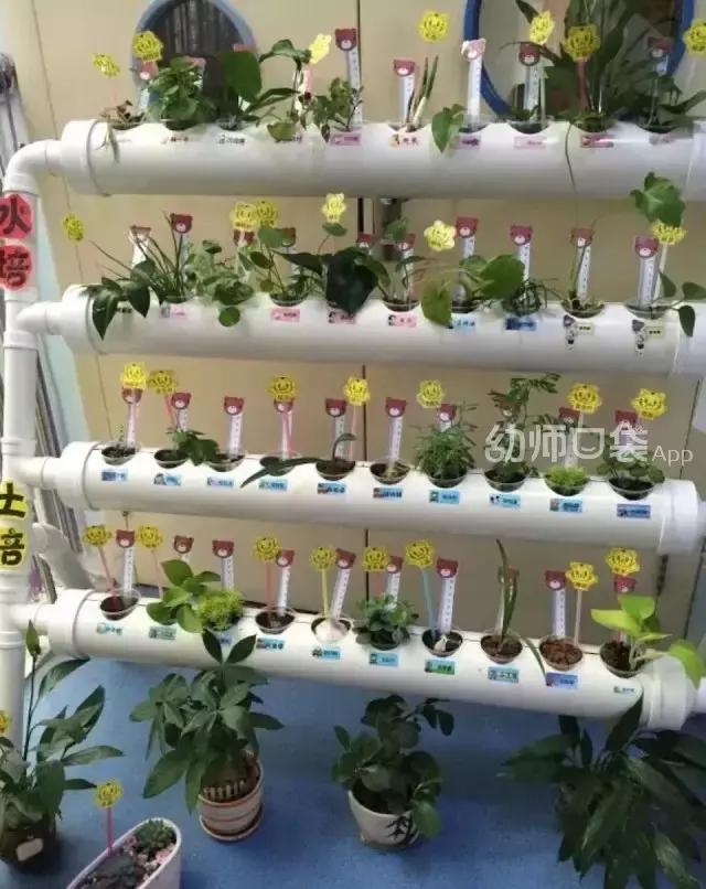 幼儿园春天植物角摆台,幼儿园植物角创意布置图片大全集