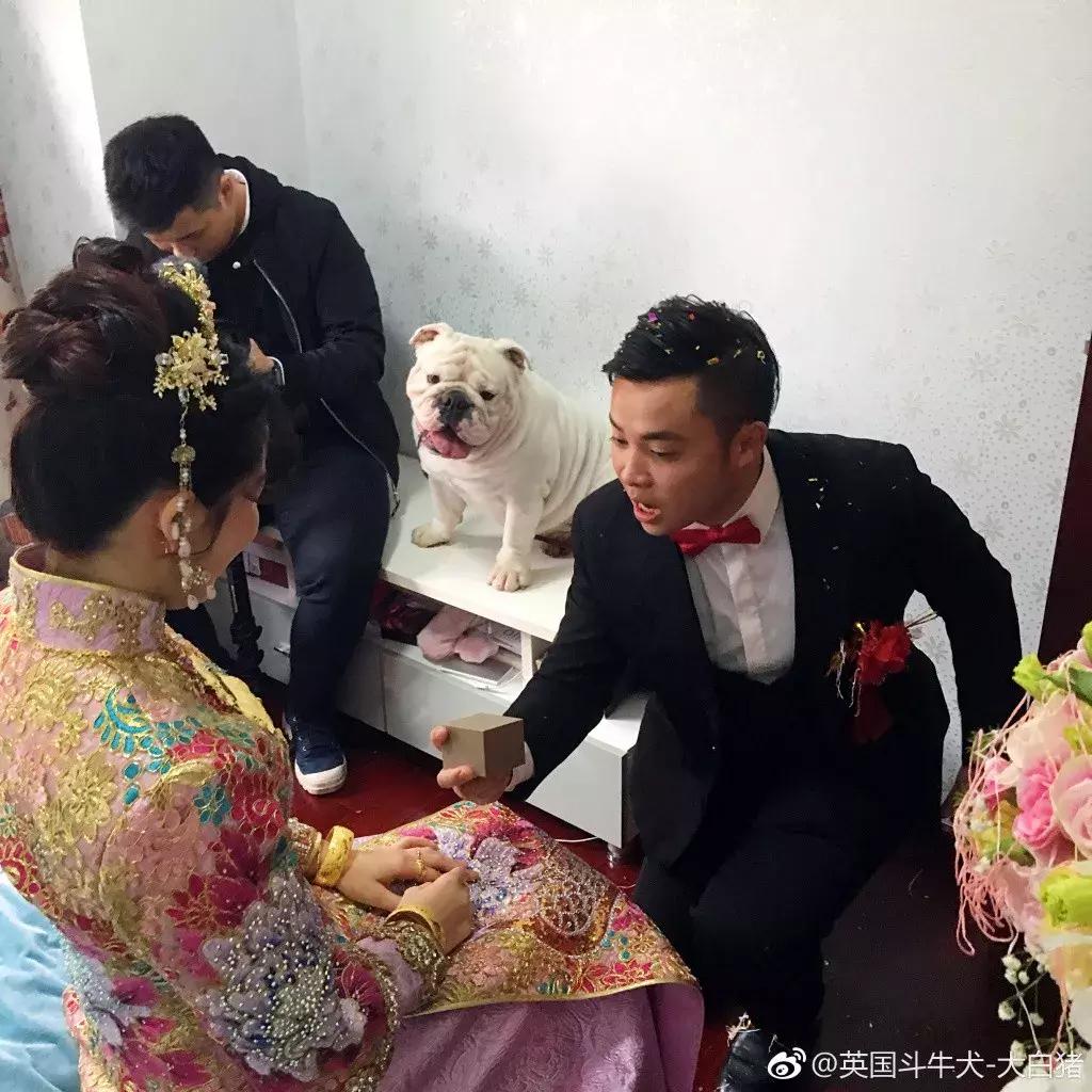 接亲游戏到底哪些最好玩,没有道具的接亲游戏