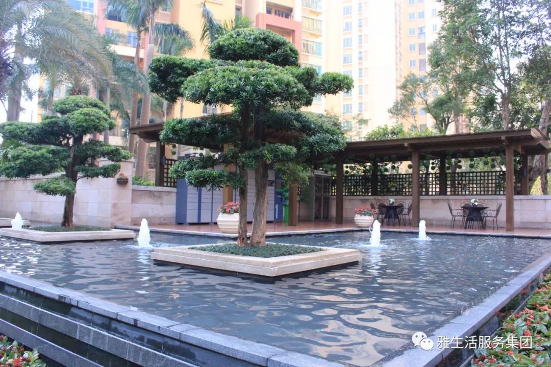 学习||雅居乐物业标杆项目亮点(100张大图解析高品质物业)