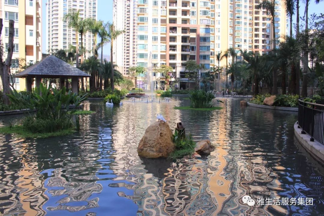 学习||雅居乐物业标杆项目亮点(100张大图解析高品质物业)