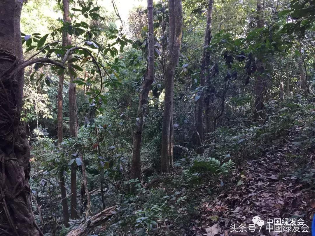 绿会中华保护地,绿会保护地